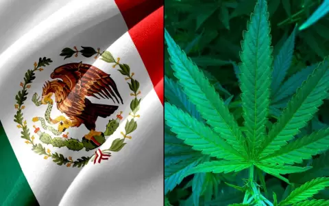 M�xico aprob� el uso recreativo del cannabis