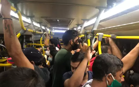 Senado aprob� cancelar licencia a empresas del transporte p�blico por reguladas