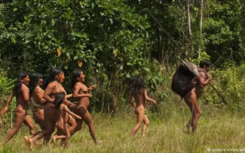 Pueblos ind�genas, mejores guardianes de los bosques en Am�rica Latina