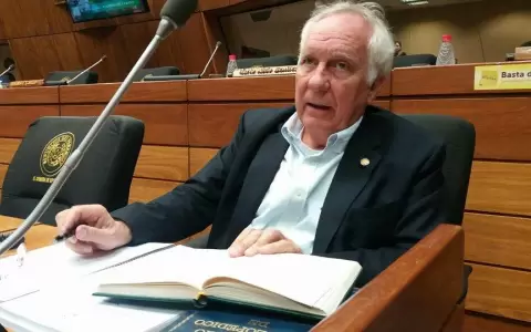 Tito Saguier: "HC le esta tirando un salvavidas�por segunda vez al gobierno actual"