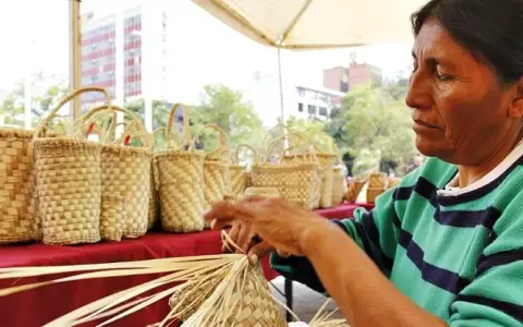 Mujeres Chamacoco apuestan a la formalizaci�n