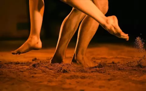 #ArteVivoVeranoCultural presenta puestas de danza y conciertos