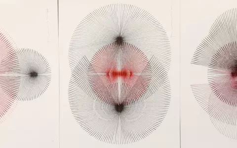 "Vibraciones", de F�lix Toranzos, en galer�a F�brica