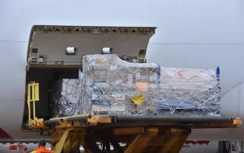 Llegaron las 100 mil vacunas donadas por India a las que le falta certificaci�n