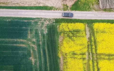 La Alianza Francesa proyecta el documental "L'or vert"