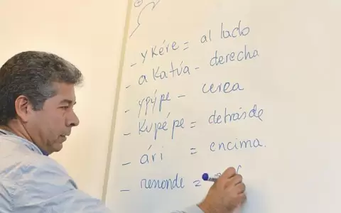 Cursos cortos de guaran� online