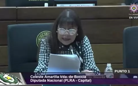 Duro cruce de palabras entre diputada opositora y su colega cartista