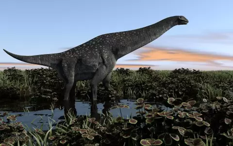 El titanosaurio m�s antiguo fue descubierto en la Patagonia