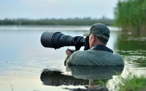 Concurso internacional de fotograf�a y video de naturaleza MontPhoto 2021