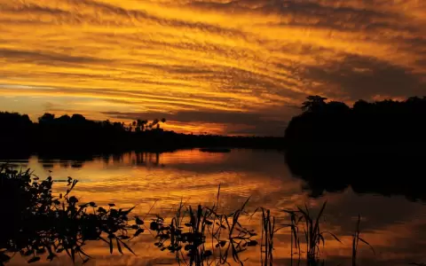 El agua y la naturaleza, �hab�as pensado de d�nde viene el agua que usas?