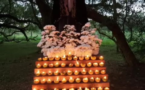 Ta�arandy se ilumina en homenaje a las v�ctimas del Covid-19