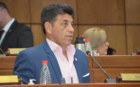 PLRA tambi�n apuesta por desarrollar las elecciones
