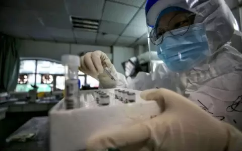 Omega-3 o vitamina D pueden disminuir riesgo de contagio del Covid-19