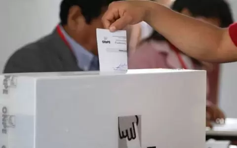 Peruanos residentes en Paraguay no votar�n para elecciones generales de su pa�s, por crisis sanitaria
