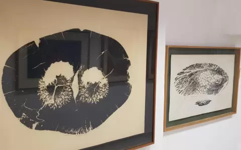 Muestra de Edith Jim�nez en F�brica Galer�a/Club de Arte