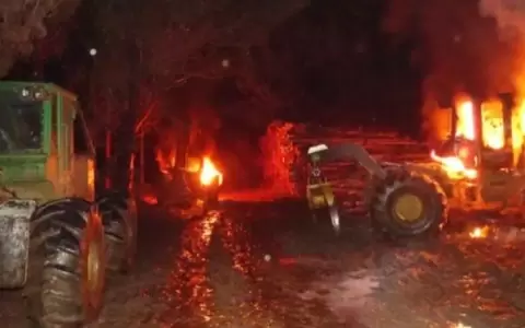 FTC confirma ataque a establecimiento ganadero en Horqueta