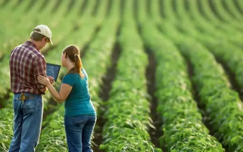 Invitan al sector agroganadero a participar de encuestas para incentivar la innovaci�n