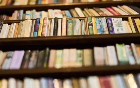 D�a Internacional del Libro, celebraciones