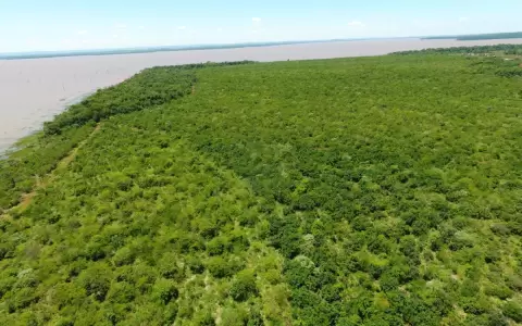 Empresas reafirman su compromiso con la carbono neutralidad