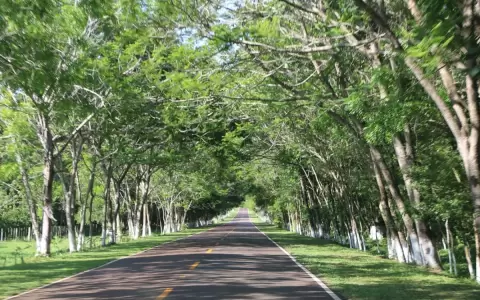 Santa Elena: la ciudad que dej� atr�s la corrupci�n y hoy brilla por su limpieza