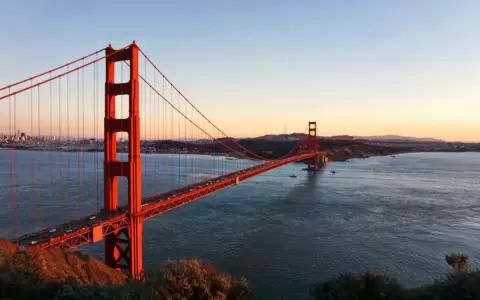 Ciudades estadounidenses inician programas de salario universal para artistas