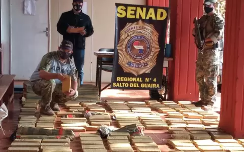 Incautan m�s de media tonelada de marihuana