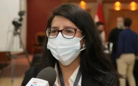 Observadores internacionales acompa�an proceso de cara a las municipales