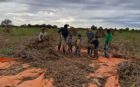 Salud deber� responder sobre plan de vacunaci�n para comunidades ind�genas