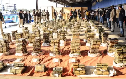 Operativos de Senad, perjuicio de USD 37 millones al narcotr�fico