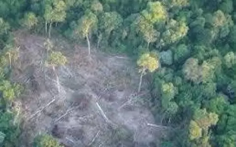 Instan a sancionar a responsables de cometer il�citos en Reserva San Rafael