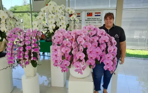 Crece la producci�n de flores, pero no todo es color de rosas