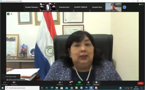 Presentar�n Plataforma de Registro de NNAs en situaci�n de orfandad a causa del Covid -19
