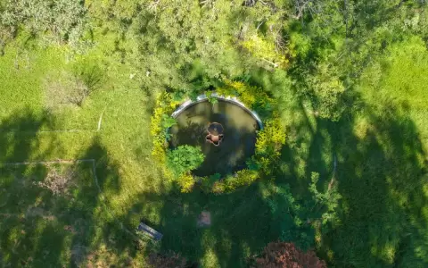 Jardines hist�ricos del Bot�nico. Jard�n Kamba'i