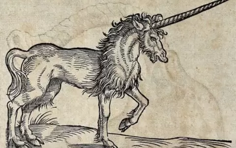 Convocatoria para microrrelatos sobre animales fant�sticos