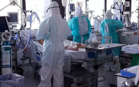 C�mo acceder a los beneficios de la "Ley Covid Gasto Cero"