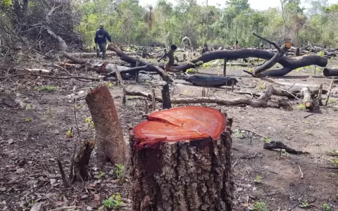 Exitoso primer d�a del operativo "Cielo Guaran� Soberano"