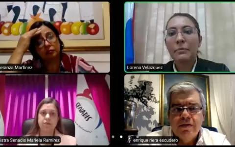 Analizan en Comisi�n sobre vacunaci�n para personas con discapacidad