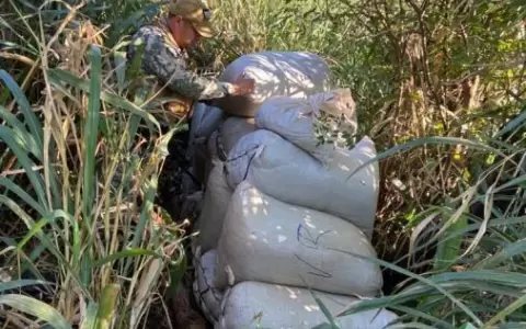 Detectan campamentos narcos en Capit�n Bado