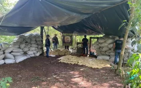 Desmantelan almacenamiento de droga en montes del Amambay