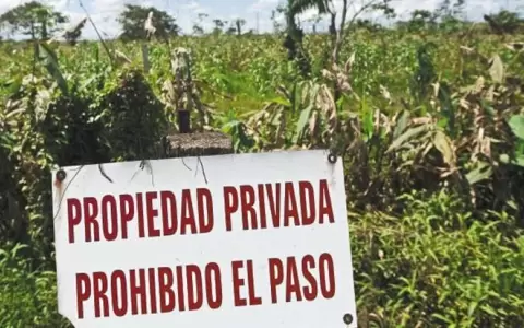 Madereros: Ley sobre "inmueble ajeno" atenta contra el derecho a propiedad privada