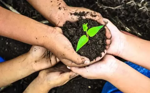 D�a Mundial del Medio Ambiente: salud y ecosistemas van de la mano