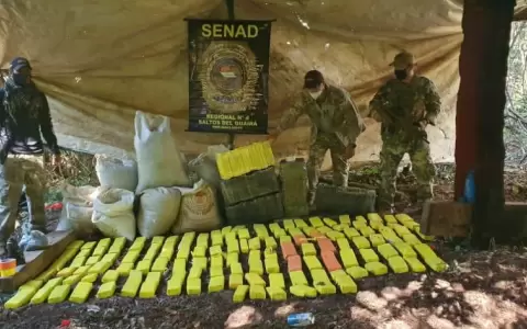 Senad destruye m�s de una tonelada de droga en campamento narco de Canindey�