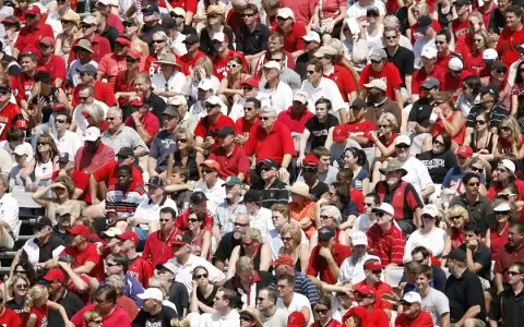 Eurocopa: Las semifinales y la final, con m�s de 60.000 personas