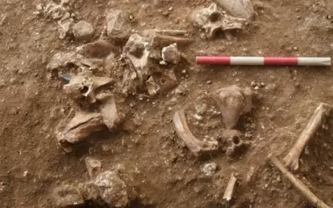 Hallan en Israel una nueva especie humana desconocida