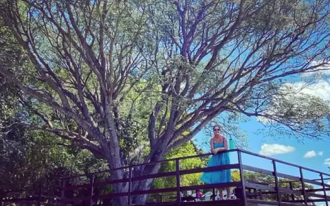 Hotel �emity, un espacio campestre para descansar