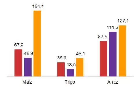 Brasil impulsa exportaci�n de cereales paraguayos