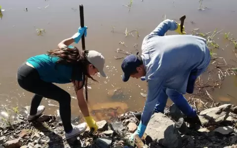 J�venes elaborar�n propuestas para futuras autoridades de la Cuenca del Lago Ypacara�
