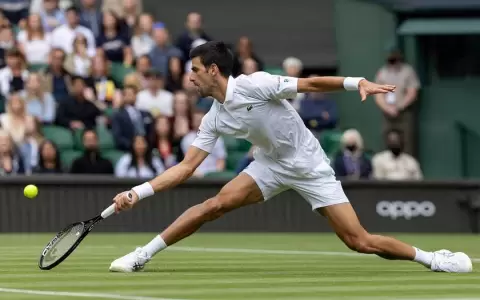 Un Novak Djokovic imperial supera con facilidad a Kevin Anderson