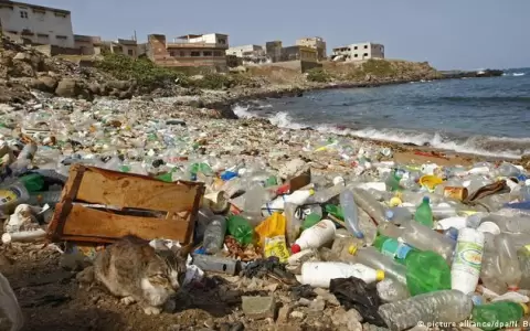 La pandemia redujo producci�n de pl�stico por tercera vez despu�s de II Guerra Mundial