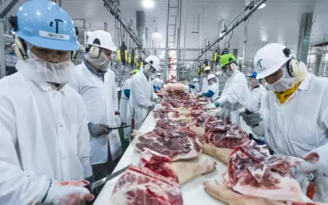Marfrig confirm� construcci�n de planta industrial en Concepci�n